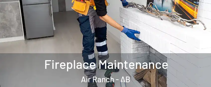  Fireplace Maintenance Air Ranch - AB