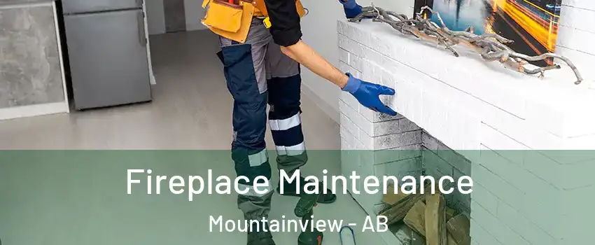  Fireplace Maintenance Mountainview - AB