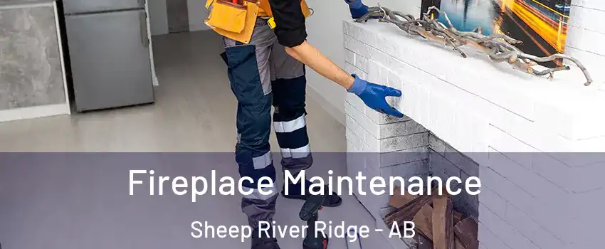  Fireplace Maintenance Sheep River Ridge - AB