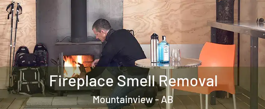  Fireplace Smell Removal Mountainview - AB