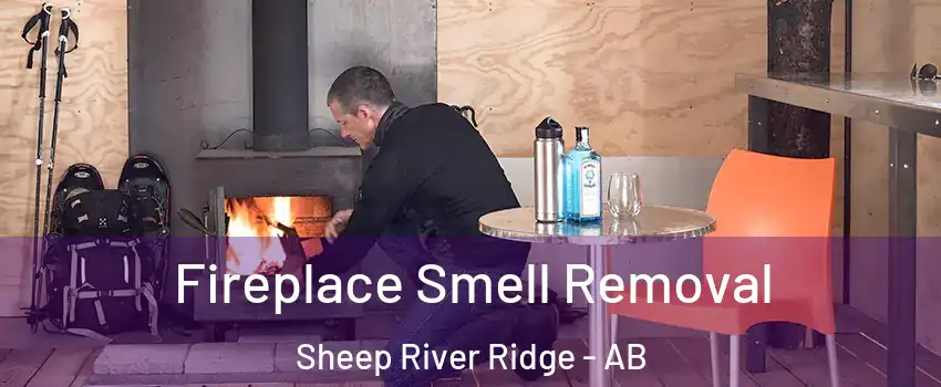  Fireplace Smell Removal Sheep River Ridge - AB