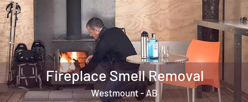  Fireplace Smell Removal Westmount - AB