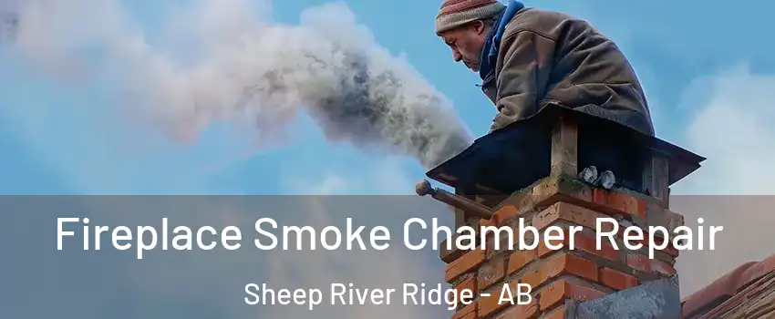  Fireplace Smoke Chamber Repair Sheep River Ridge - AB