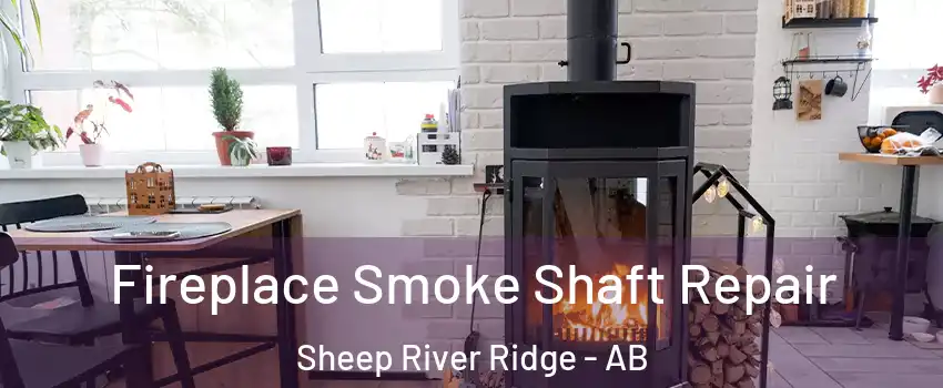  Fireplace Smoke Shaft Repair Sheep River Ridge - AB
