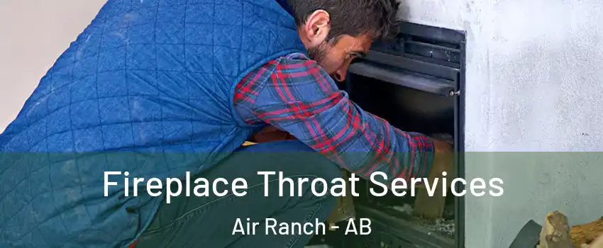  Fireplace Throat Services Air Ranch - AB