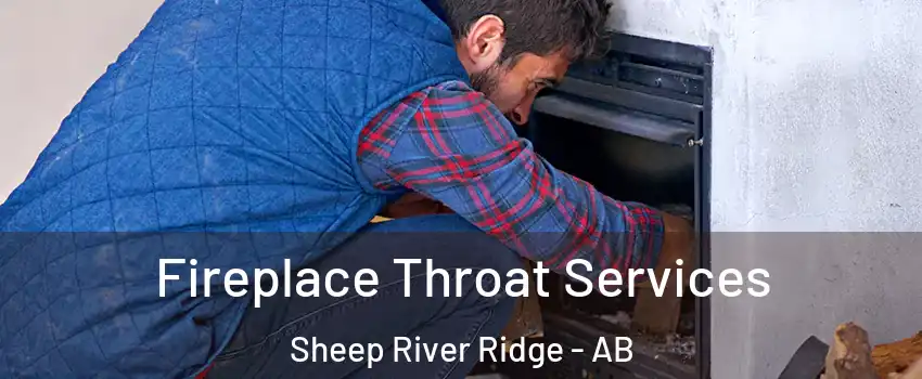  Fireplace Throat Services Sheep River Ridge - AB