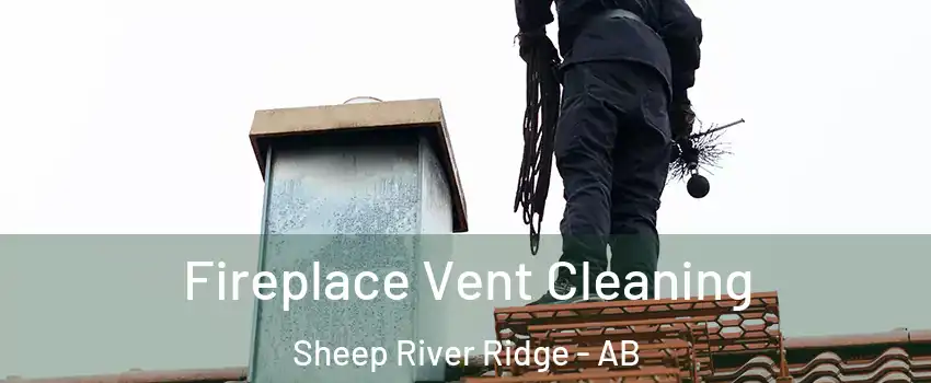  Fireplace Vent Cleaning Sheep River Ridge - AB