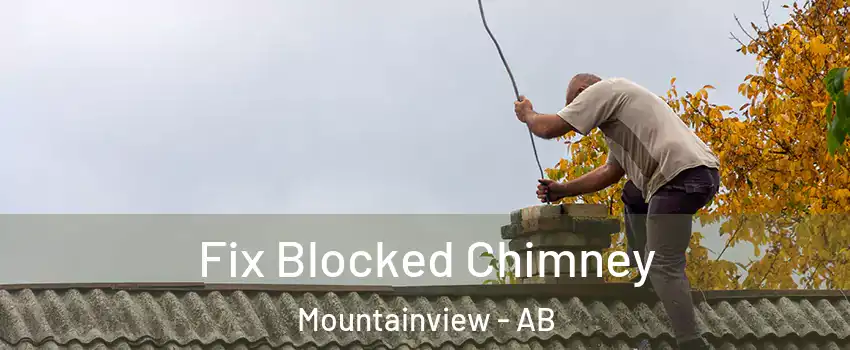  Fix Blocked Chimney Mountainview - AB