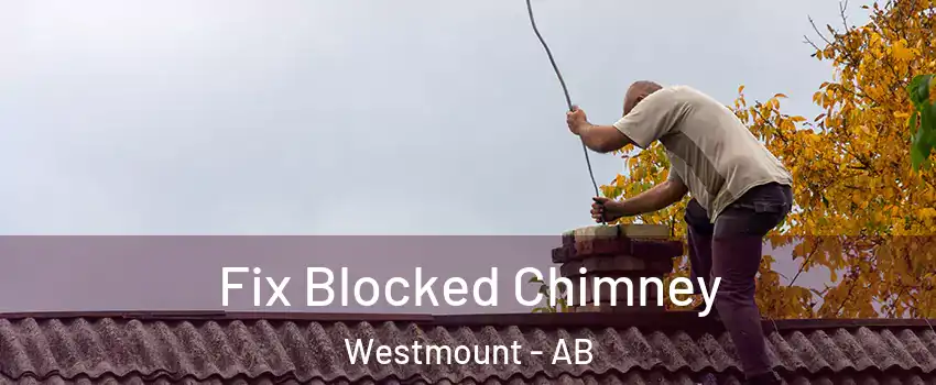  Fix Blocked Chimney Westmount - AB