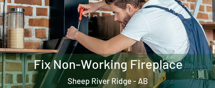  Fix Non-Working Fireplace Sheep River Ridge - AB