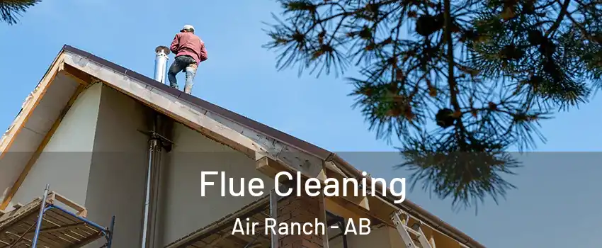  Flue Cleaning Air Ranch - AB