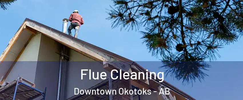  Flue Cleaning Downtown Okotoks - AB
