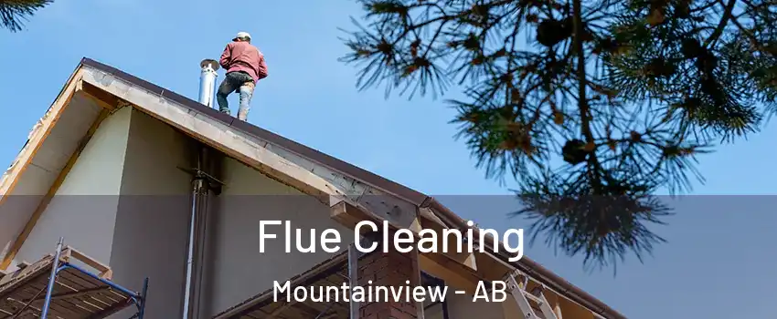  Flue Cleaning Mountainview - AB