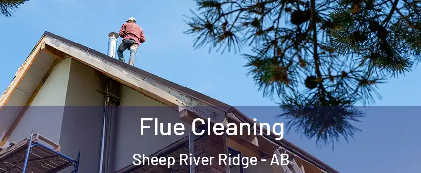  Flue Cleaning Sheep River Ridge - AB