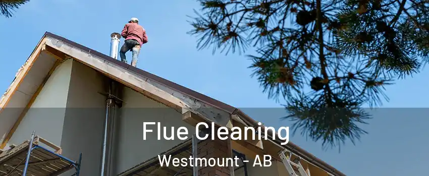  Flue Cleaning Westmount - AB