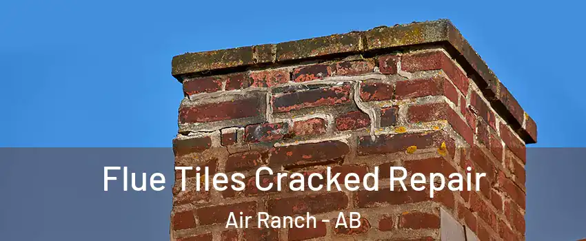  Flue Tiles Cracked Repair Air Ranch - AB