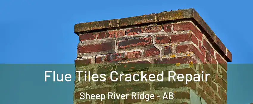  Flue Tiles Cracked Repair Sheep River Ridge - AB