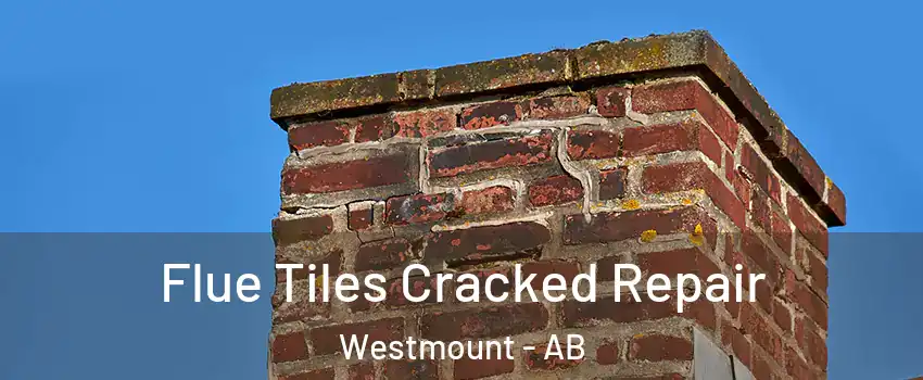  Flue Tiles Cracked Repair Westmount - AB