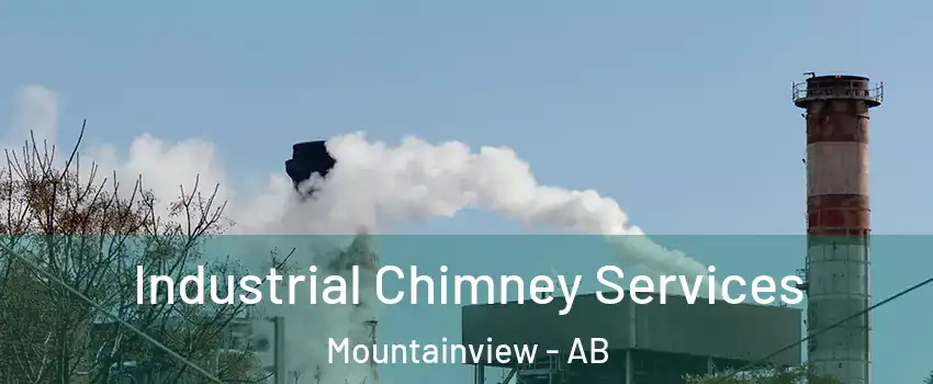  Industrial Chimney Services Mountainview - AB