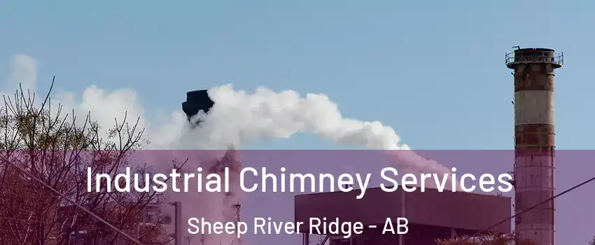  Industrial Chimney Services Sheep River Ridge - AB