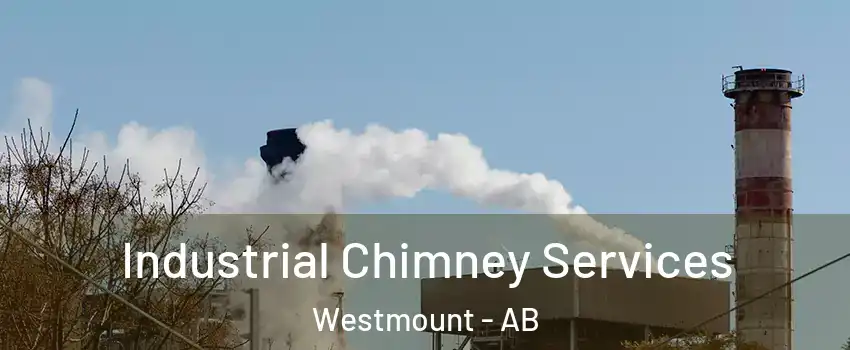  Industrial Chimney Services Westmount - AB