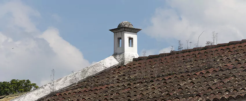 Wind-Resistant Chimney Caps Installation and Repair Services in Cimarron, Alberta