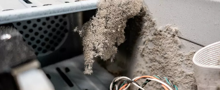 Clogged Dryer Vent Lint Cleaning in Cimarron, Alberta