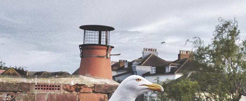 Chimney Cap Bird Guard Repair in Cimarron, Alberta