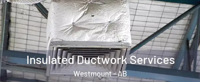  Insulated Ductwork Services Westmount - AB