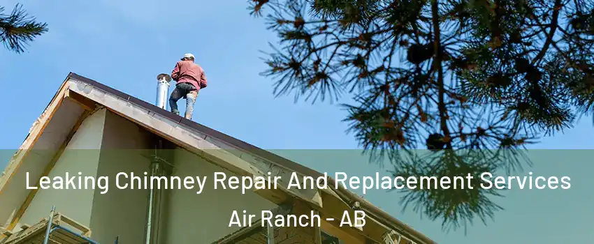  Leaking Chimney Repair And Replacement Services Air Ranch - AB