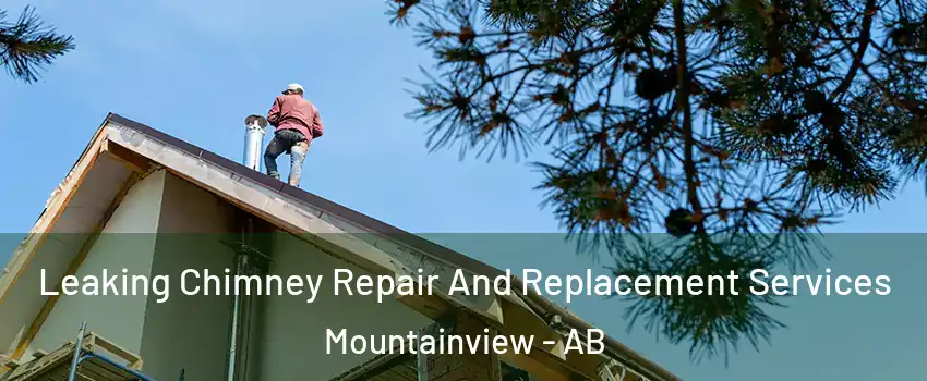  Leaking Chimney Repair And Replacement Services Mountainview - AB