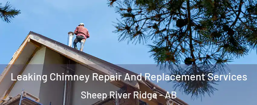  Leaking Chimney Repair And Replacement Services Sheep River Ridge - AB