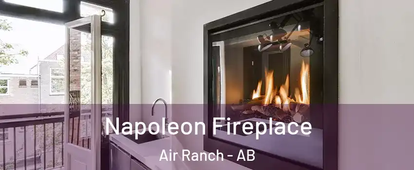  Napoleon Fireplace Air Ranch - AB