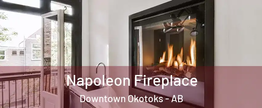  Napoleon Fireplace Downtown Okotoks - AB
