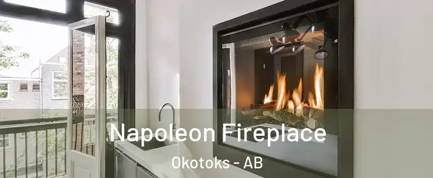  Napoleon Fireplace Okotoks - AB
