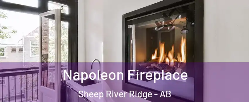  Napoleon Fireplace Sheep River Ridge - AB