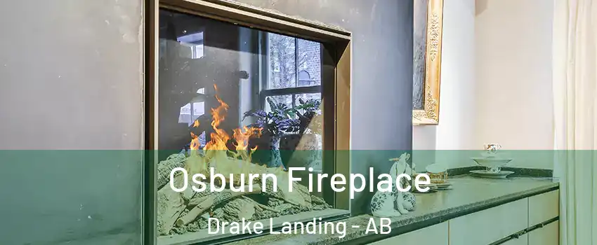  Osburn Fireplace Drake Landing - AB