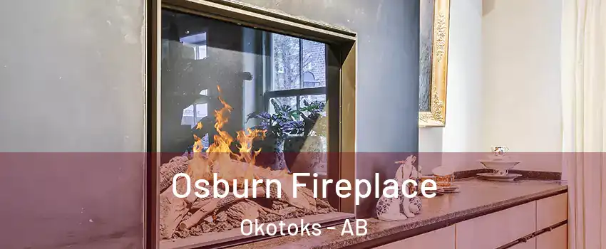  Osburn Fireplace Okotoks - AB