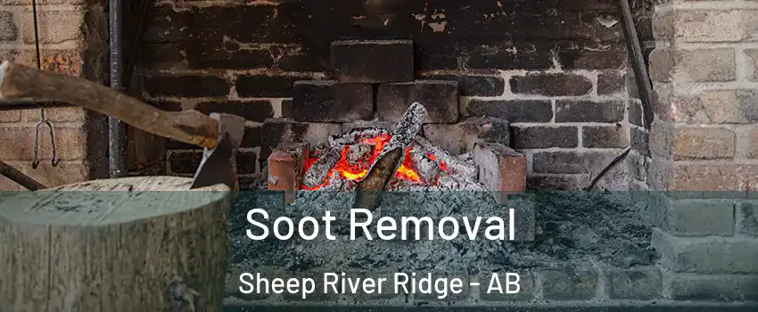  Soot Removal Sheep River Ridge - AB