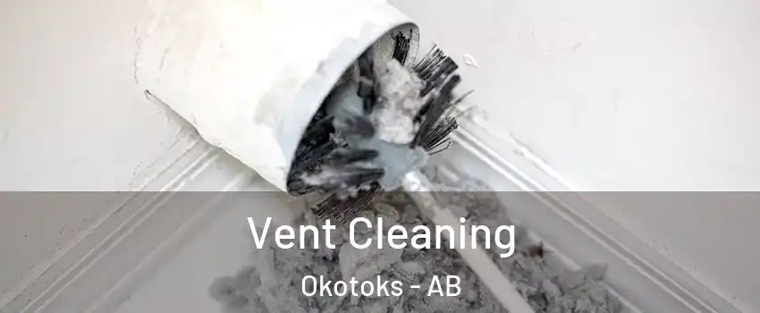 Vent Cleaning Okotoks - AB