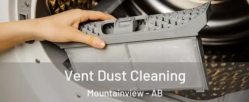  Vent Dust Cleaning Mountainview - AB
