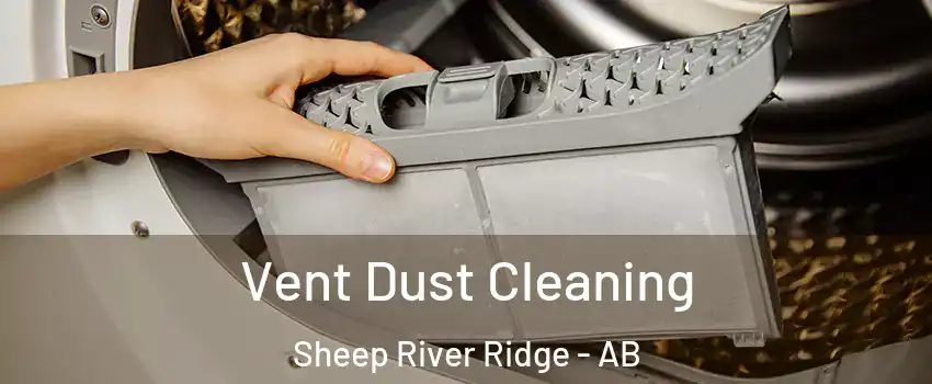  Vent Dust Cleaning Sheep River Ridge - AB