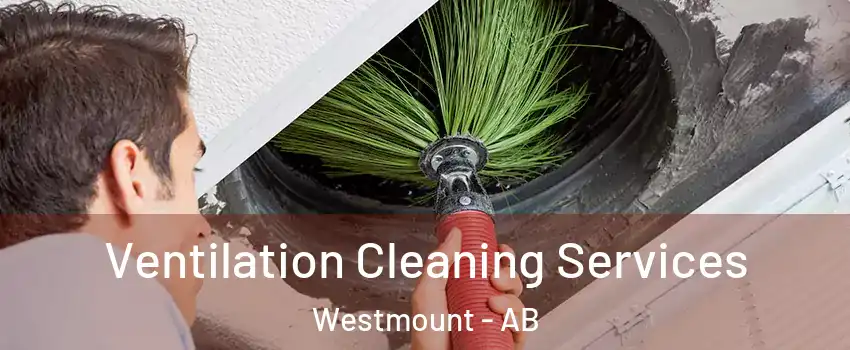  Ventilation Cleaning Services Westmount - AB