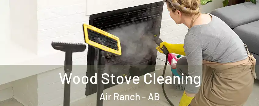  Wood Stove Cleaning Air Ranch - AB