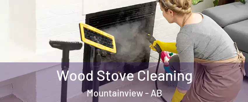  Wood Stove Cleaning Mountainview - AB