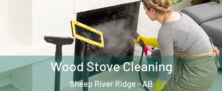  Wood Stove Cleaning Sheep River Ridge - AB
