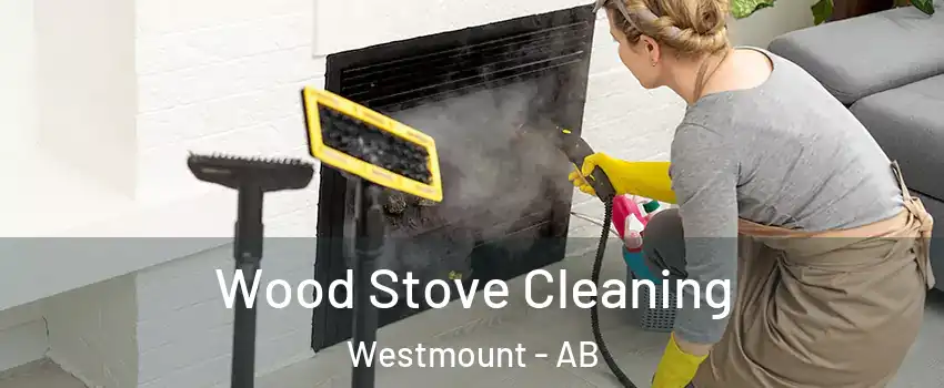  Wood Stove Cleaning Westmount - AB