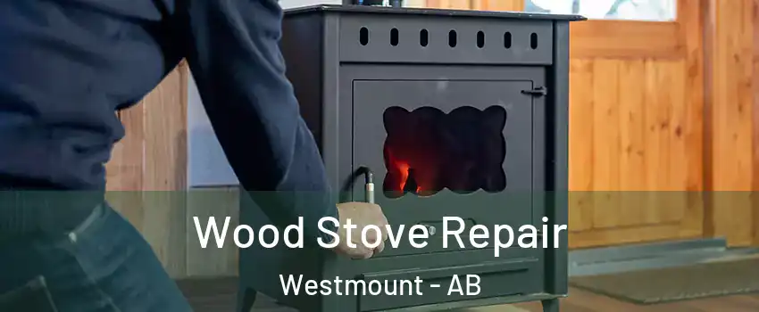  Wood Stove Repair Westmount - AB